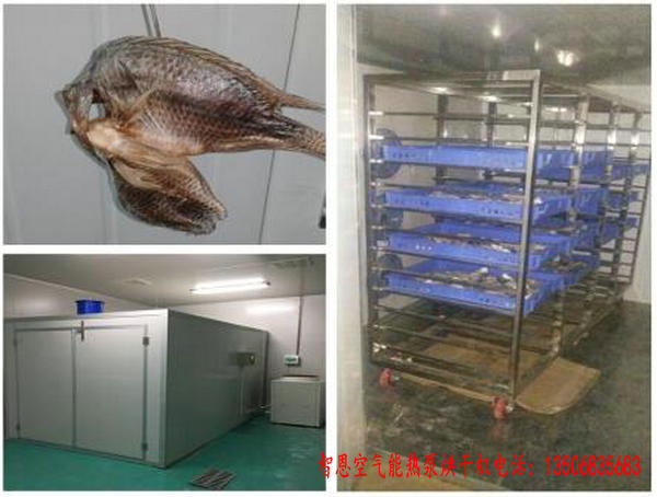 淡水魚(yú)烘干機