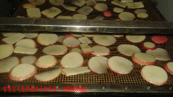 蘋(píng)果片烘干機