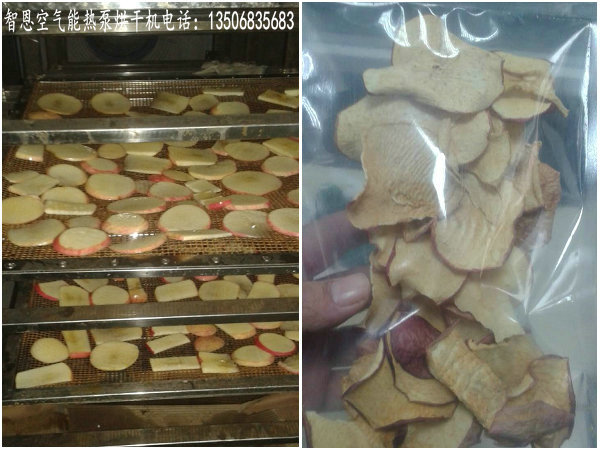 蘋(píng)果片烘干機