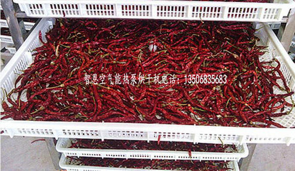 全自動(dòng)辣椒烘干機