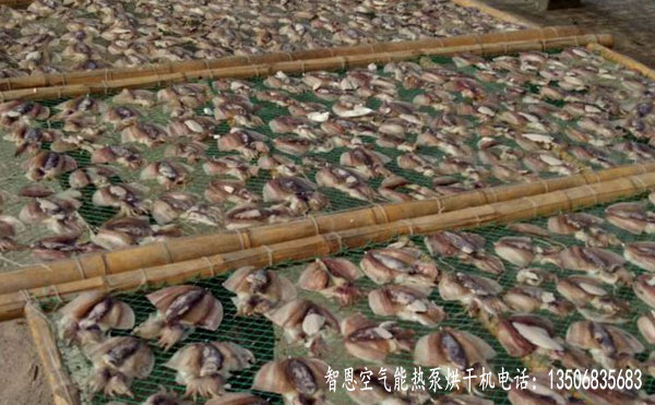 魷魚(yú)烘干機